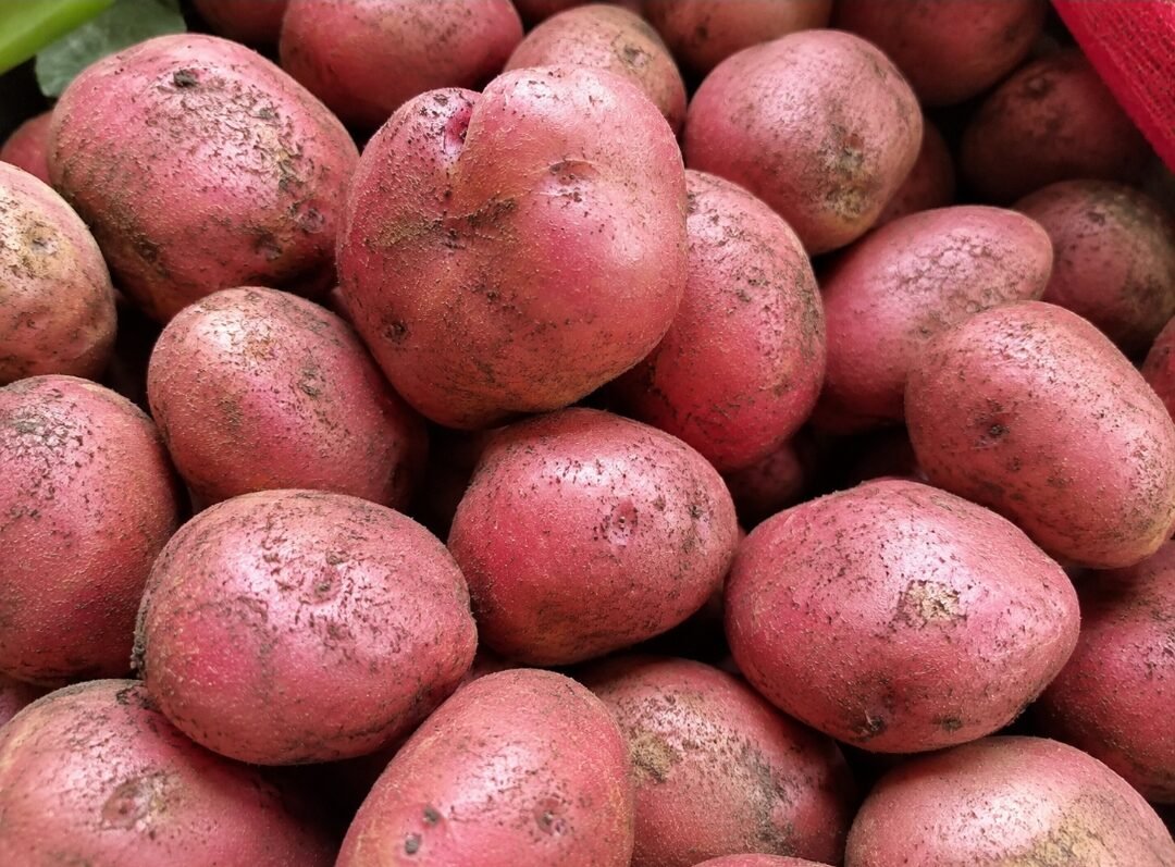 red patatoes