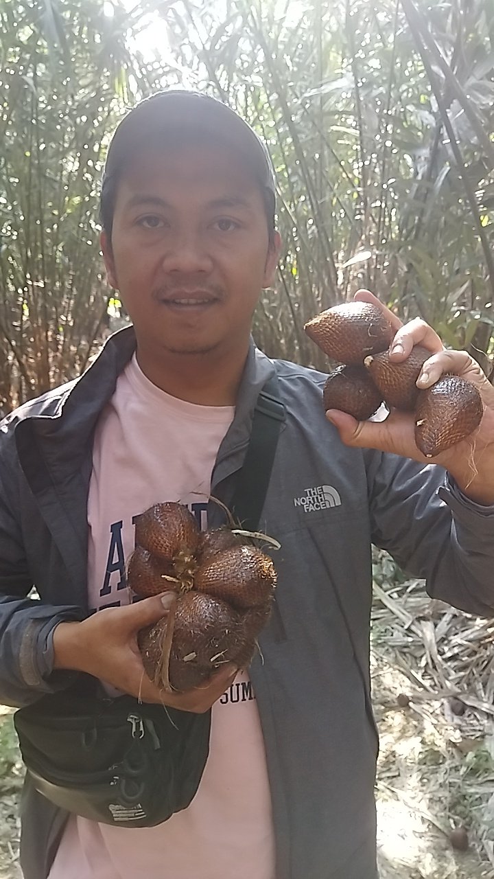 bapak salak